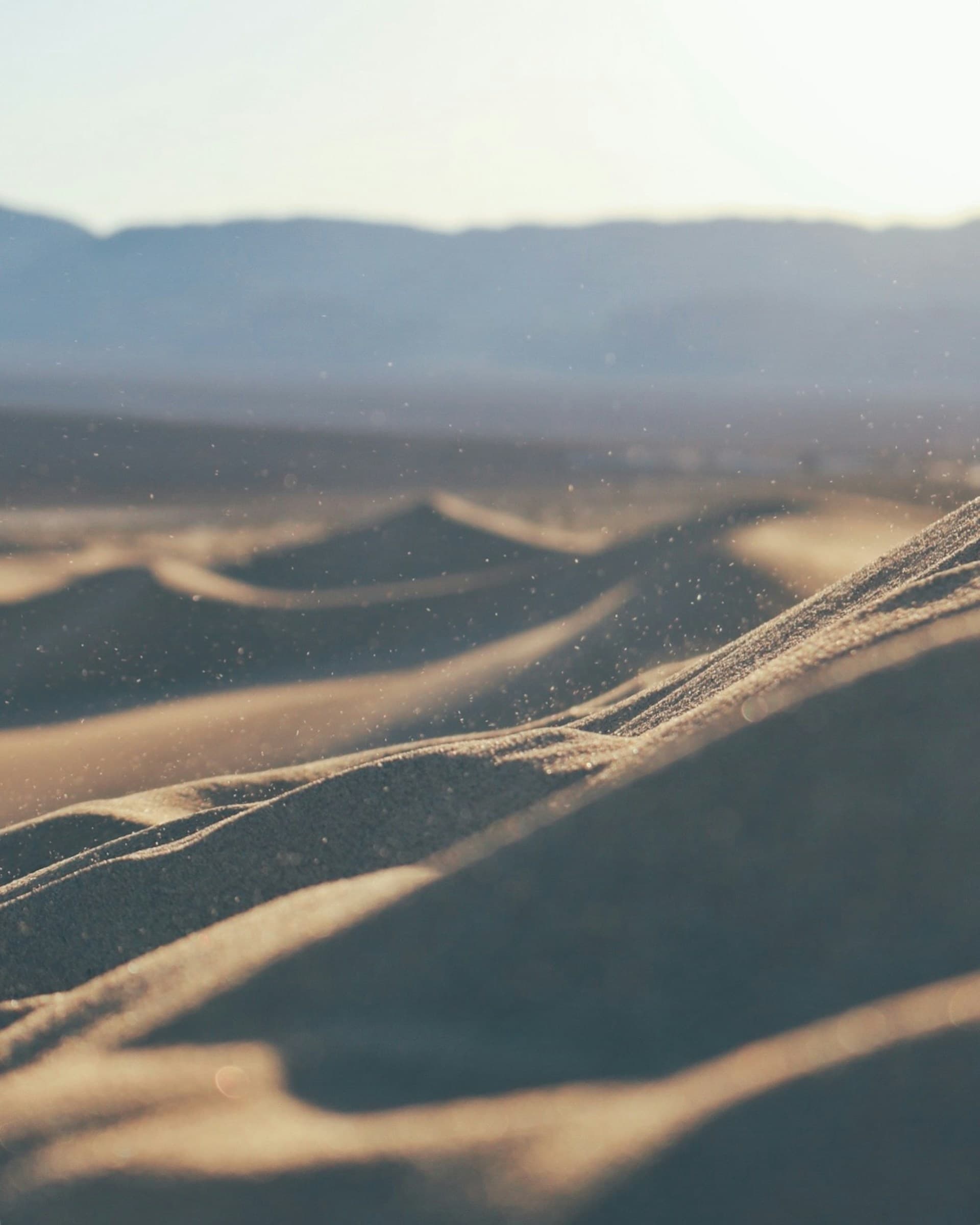 In motion: A considered perspective on the daily commute